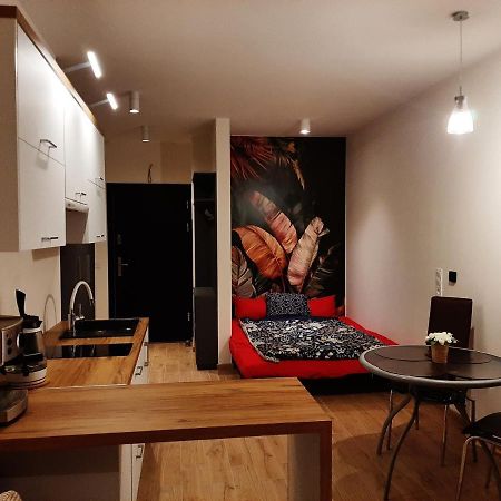Apartament Pod Szyndzielnia, Debowiec Bielsko-Biała Exterior foto