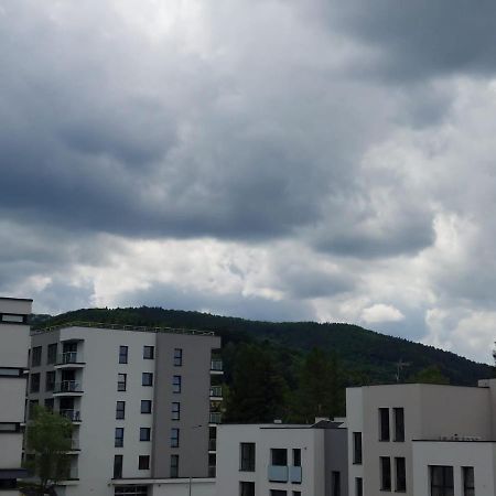 Apartament Pod Szyndzielnia, Debowiec Bielsko-Biała Exterior foto